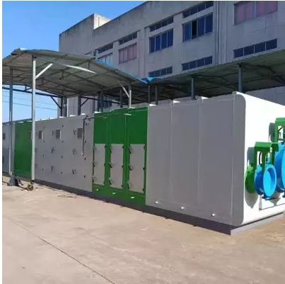 沸石轉(zhuǎn)輪+co一體機